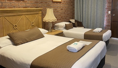 Habitación con 2 camas individuales, accesible para personas con discapacidad