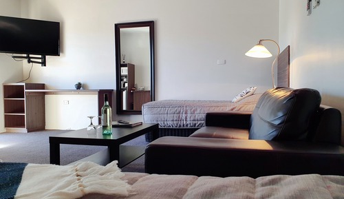 Habitación Deluxe con 2 camas individuales