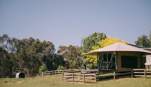 Tienda de lujo (Eco)