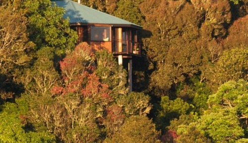 Casa en un árbol