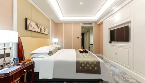 Habitación Business individual (business twin room)
