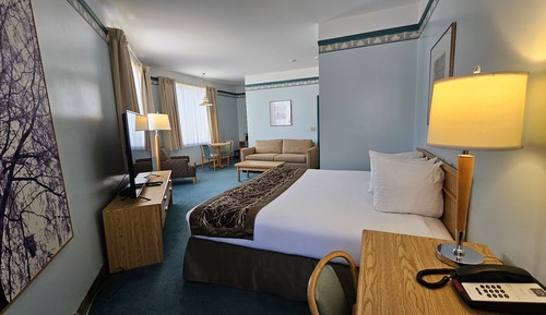 Suite ejecutiva (Not Pet Friendly Room)