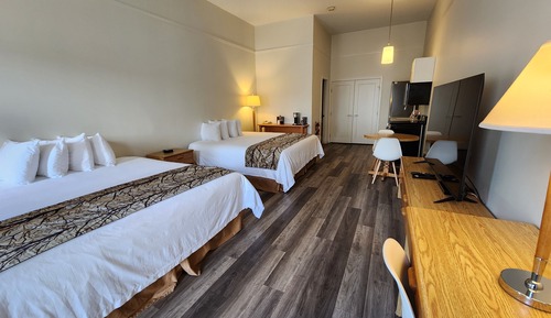 Estudio clásico, varias camas, cocina básica (Pet Friendly Room)