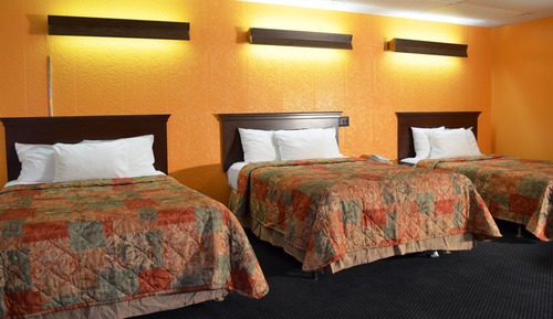 Habitación individual Deluxe, varias camas, no fumadores (Second Floor Only)