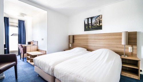 Habitación estándar con 2 camas individuales