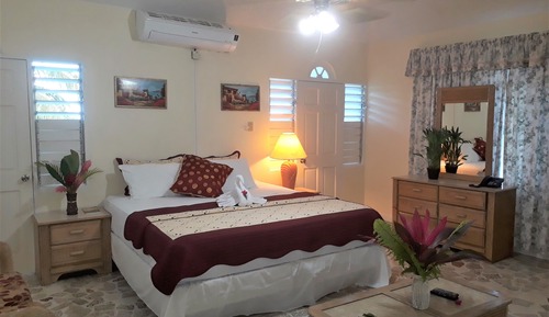 Suite superior, 1 cama de matrimonio grande, cocina básica (With AC)