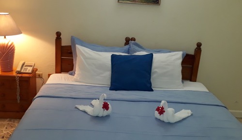Habitación junior doble, 1 cama de matrimonio grande, cocina básica