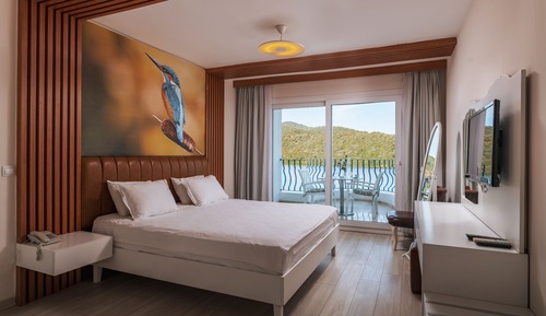 Habitación estándar, 1 habitación