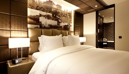 Habitación Deluxe (Hofvijver)