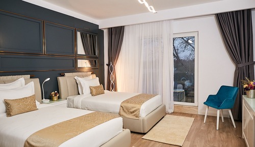 Habitación ejecutiva con 2 camas individuales