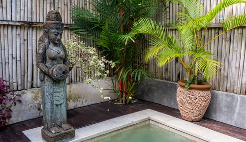 One Bedroom with Plunge Pool Villa and Bathtub