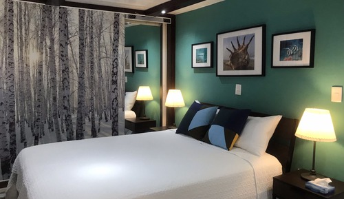 Villa Premium, 1 cama de matrimonio, bañera, vistas al jardín