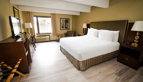 Habitación estándar, 1 cama de matrimonio grande