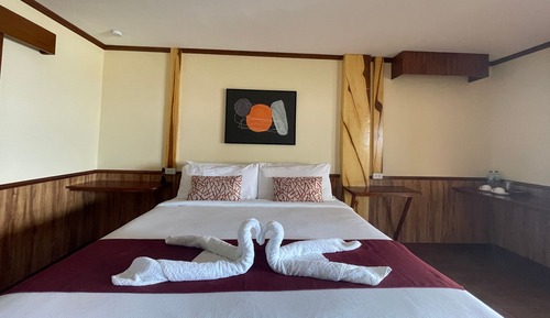 Habitación Premier, 1 cama de matrimonio grande