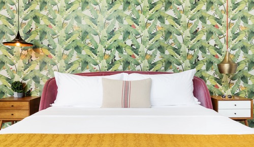 Estudio, 1 cama de matrimonio grande (Accessible Studio with Roll-In Shower)