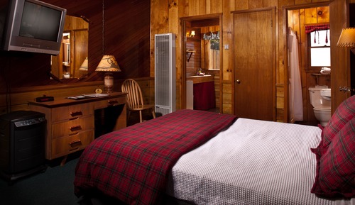 Habitación estándar, 1 cama de matrimonio, no fumadores (Queen Room - No Pets)