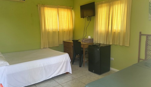 Habitación Deluxe con 1 cama doble o 2 individuales