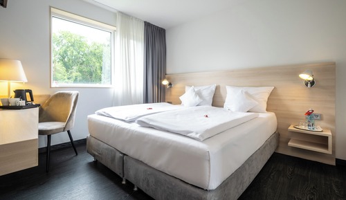 Habitación estándar doble, 1 cama doble