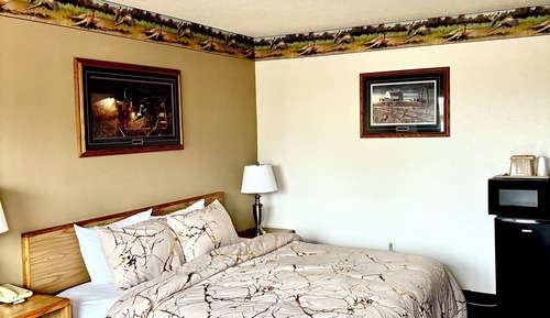Habitación individual básica, 1 cama de matrimonio grande
