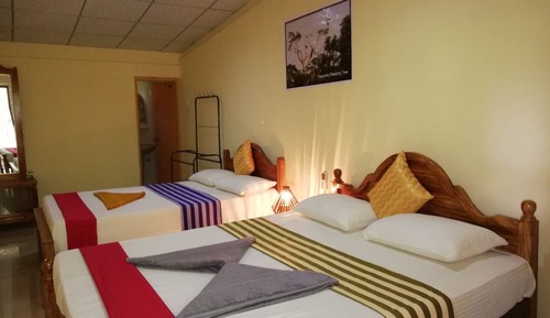 Habitación estándar con 2 camas individuales