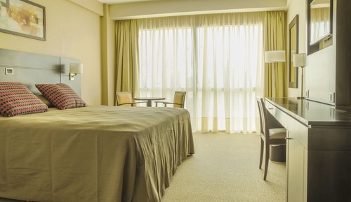 Habitación estándar doble, 1 cama doble