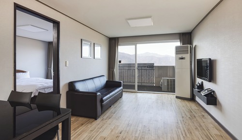 Deluxe room - no pets allowed