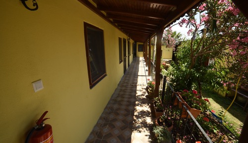 Habitación económica con 2 camas individuales