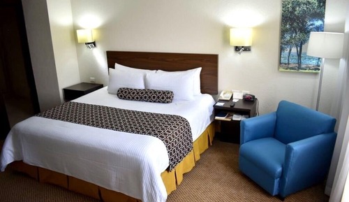 Habitación estándar, 1 cama de matrimonio grande, no fumadores