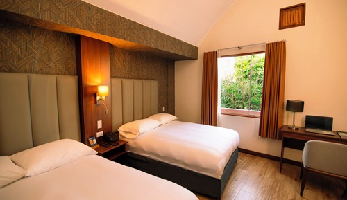 Habitación doble superior, 2 camas dobles