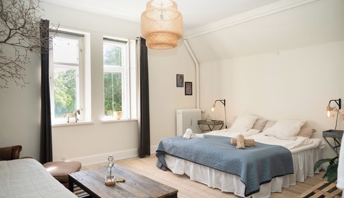 Habitación Deluxe doble, 1 cama de matrimonio grande, vistas al parque