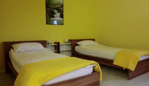 Habitación estándar con 2 camas individuales