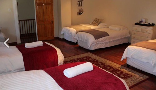 Dormitorio compartido estándar, 1 habitación
