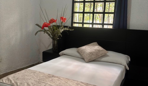 Habitación individual estándar