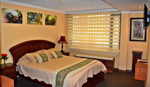 Habitación doble superior, 1 cama de matrimonio, baño privado