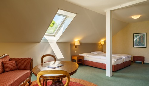 Suite junior, vistas al lago