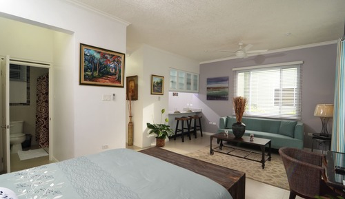 Apartamento ejecutivo, 1 habitación, planta ejecutiva
