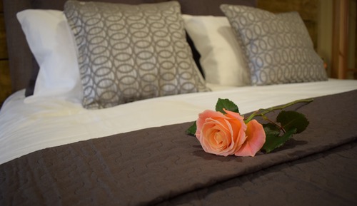 Suite junior (Room Only)