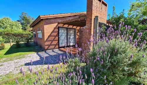 Bungalow, 1 habitación