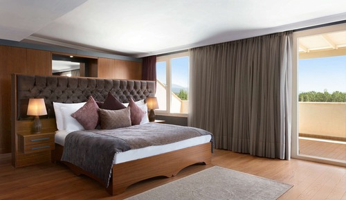 Suite presidencial, 1 cama de matrimonio grande