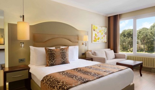 Habitación Deluxe, 1 cama de matrimonio