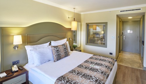 Habitación ejecutiva, 1 cama de matrimonio grande