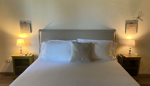Habitación clásica con 1 cama doble o 2 individuales
