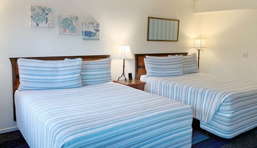Habitación Confort, 2 camas de matrimonio (Pet Friendly)