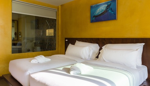 Deluxe Room (2 Single Beds)