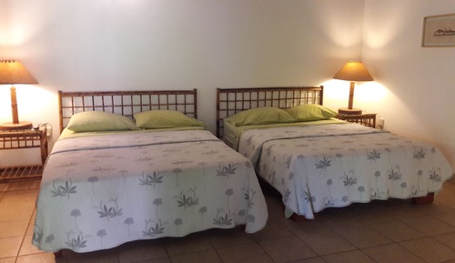 Habitación doble, 1 habitación, no fumadores, vistas al jardín