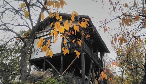 Hunting Mansion