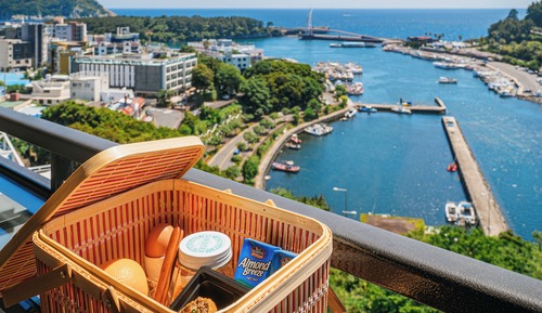 [Ocean View]Deluxe Double Room, Private Balcony, In-Room Minibar And Snack Bar (Free Daily)