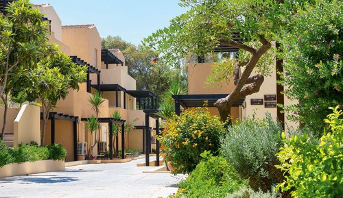 Estudio, vistas al jardín