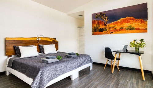 Premium Double Room, Garden View. Two single beds can be converted into a king bed. 