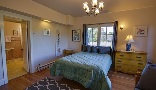 Habitación Confort doble, vistas al jardín